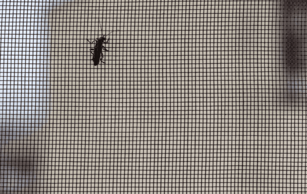 Mosquiteras a medida en Cerdanyola en hogar