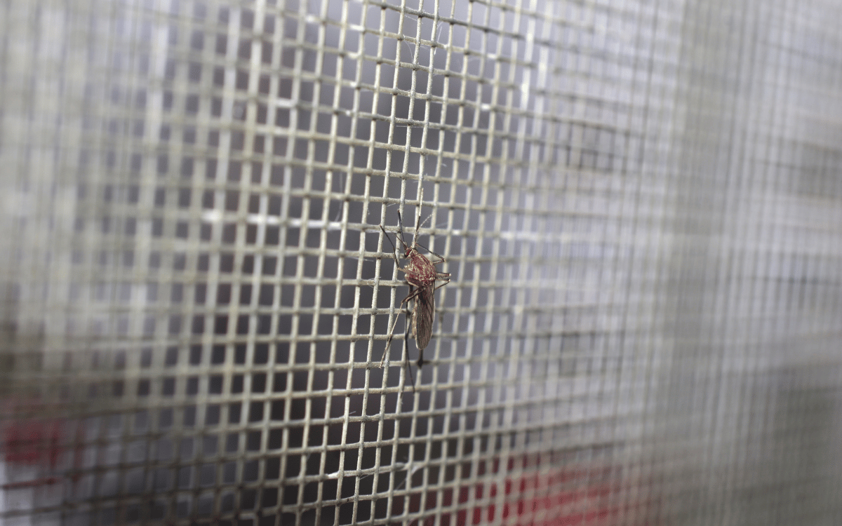 Instalación de mosquiteras en Cerdanyola profesional